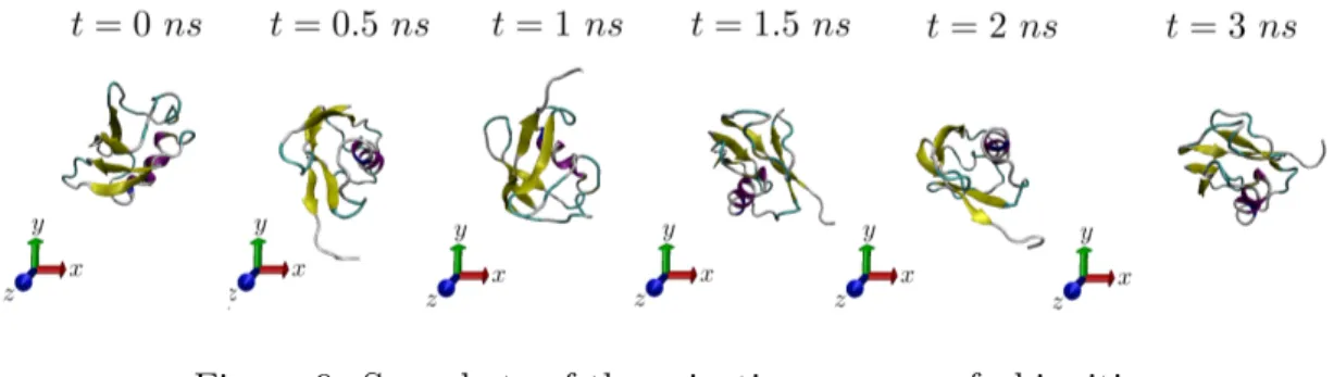 Figure 9: Snapshots of the orienting process of ubiquitin for t 0 = 5 ns and E 0 = 1.0 nmV 