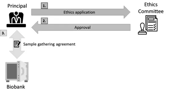 Figure B.1: Establishment of new biobanking routine