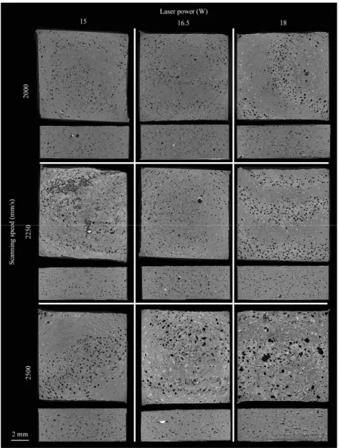 Figure 8. Representative slices from each of the sample batches. The slices display the interlayer  connection and the side view of the samples