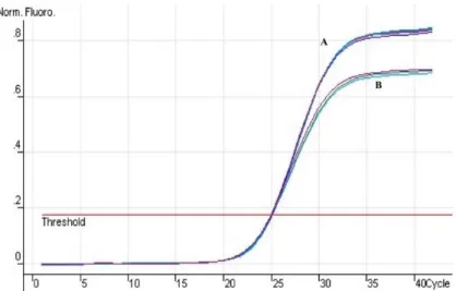 Figur 2. Amplieringskurva vid realtids-PCR. Fluorescensnivån (y-axeln) ökar över antalet genomgångna cykler  (x-axeln)