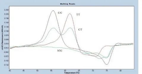 Figur 5. Smältkurvor för de tre positiva kontrollerna (LCT-13910 C/C, C/T, T/T) samt NTC med respektive  toppar