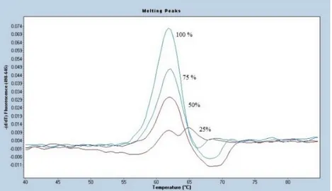 Figur 6. Smältkurvor för LCT-13910 T/T med ospätt blod (100 %) och blod spätt till 75, 50 och 25 % med PCR- PCR-rent vatten och analyserade på 1 µL volym