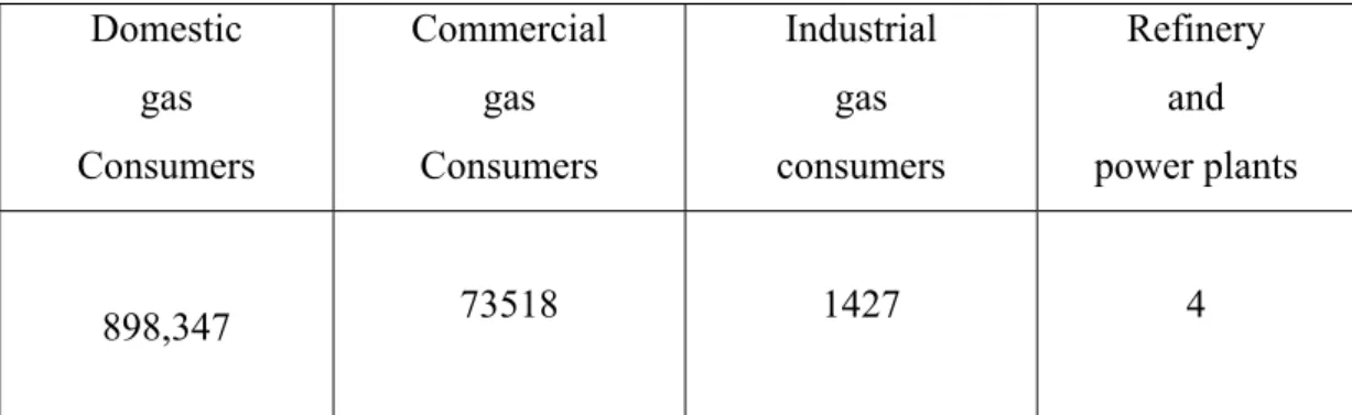 Table 2: Number of different gas consumers 