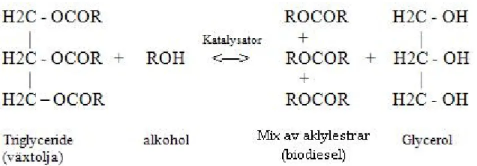 Fig. 8 Reaktion mellan triglycerid, alkohol och en katalysator. 