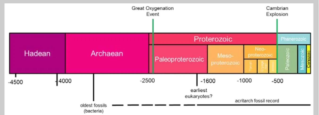Figure 1 — Timeline showing the extent of the acritarch fossil record (numbers refer to age in  millions of years)