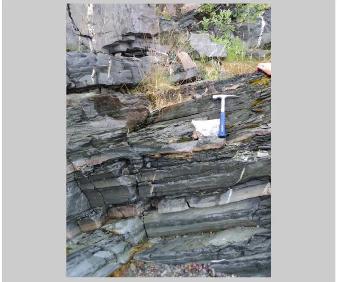 Figure 4 — Lower Cambrian shales exposed along the shore of the Digermulen peninsula in  Finnmark, Arctic Norway