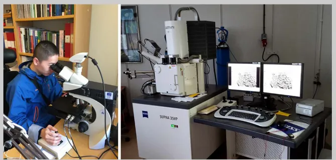 Figure 7 — Filtered residue containing the microfossils is mounted onto glass slides and studied by  transmitted light microscope (left, credit: W
