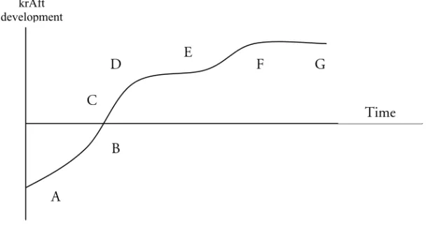 Figure 4.3: The phases of krAft groups (Kraftprov 2006b) 
