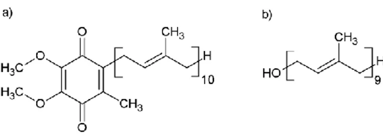 Figure 1. Molecular structure of a) Q10 and b) solanesol. 
