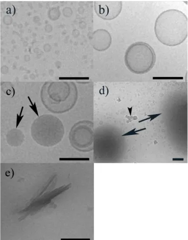 Figure 2. Cryo-TEM images of POPC:Q10 (2 mol% Q10) liposomes prepared by a) sonication, and b) extrusion