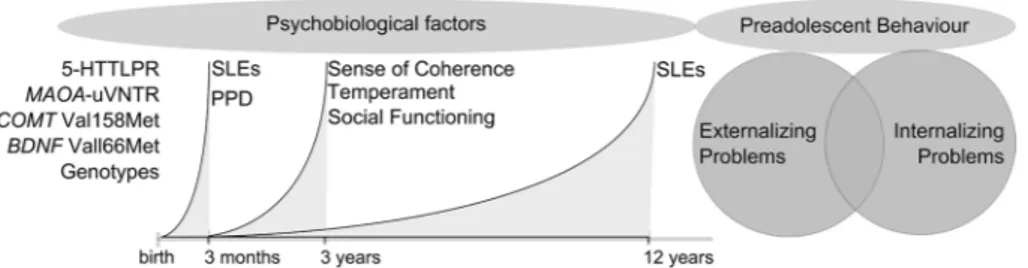 Fig. 1  Conceptual model of the study design. Promotive factors are  hypothesized to impact the risk for behavioral problems in  preado-lescence in children exposed to early life adversity