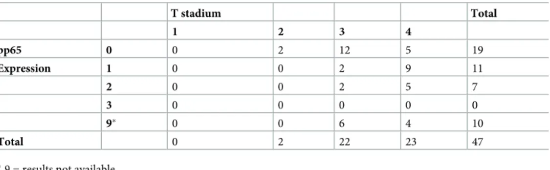 Table 2. CMV pp65 immunoreactivity vs T-stadium in cohort-II.