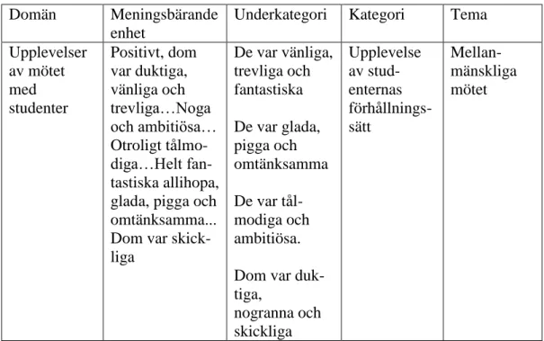 Figur 1. Resultatets relation mellan domän, kategori och tema. 