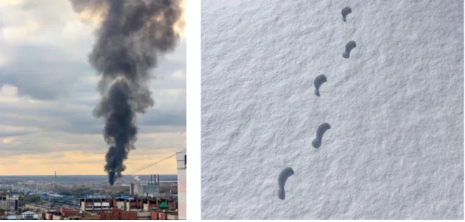 Figur 2.4. Rök som stiger mot himlen är ett indexikalt tecken för att det brinner, och fotspår i snön är indexikala  tecken för att en person tidigare har vandrat på platsen