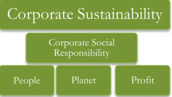 Figure  2:  Relationship  CS,  CSR  and  3P's  (adapted from van Marrewijk, 2003)