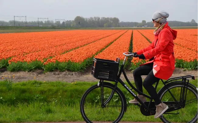 Figure 2: Seven reasons to explore Holland by bicycle. Source: Holland.com, 2019. 