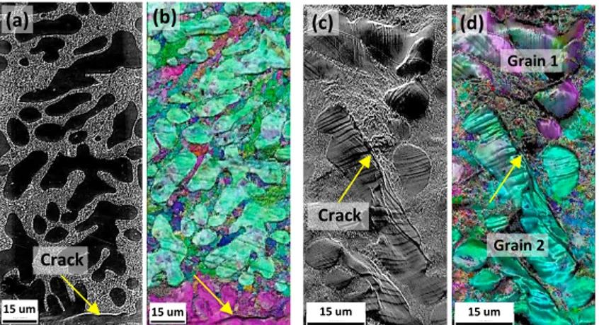 Fig. 5. a) SEM micrograph and b) IPF map of the SDAS-15 alloy taken at around 155 MPa, showing the crack initiated at the  dendrite/eutectic boundary inside a grain