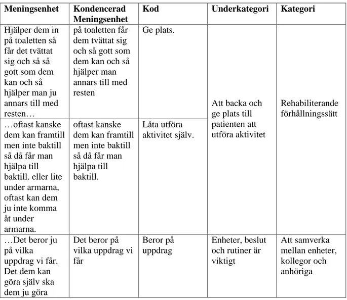 Tabell 2. Utdrag av exempel på analys. 