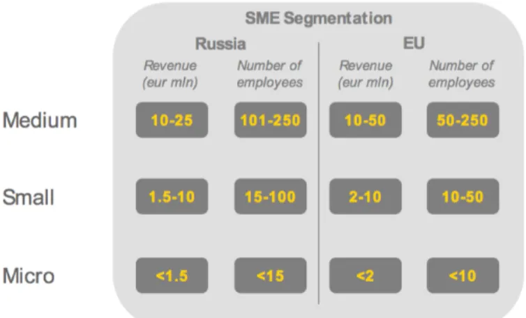 Figure 1.1: SME Segmentation. Source: Small and Medium Entrepreneurship in Russia, 2013 