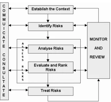 Figure 3.3 the process of risk management  