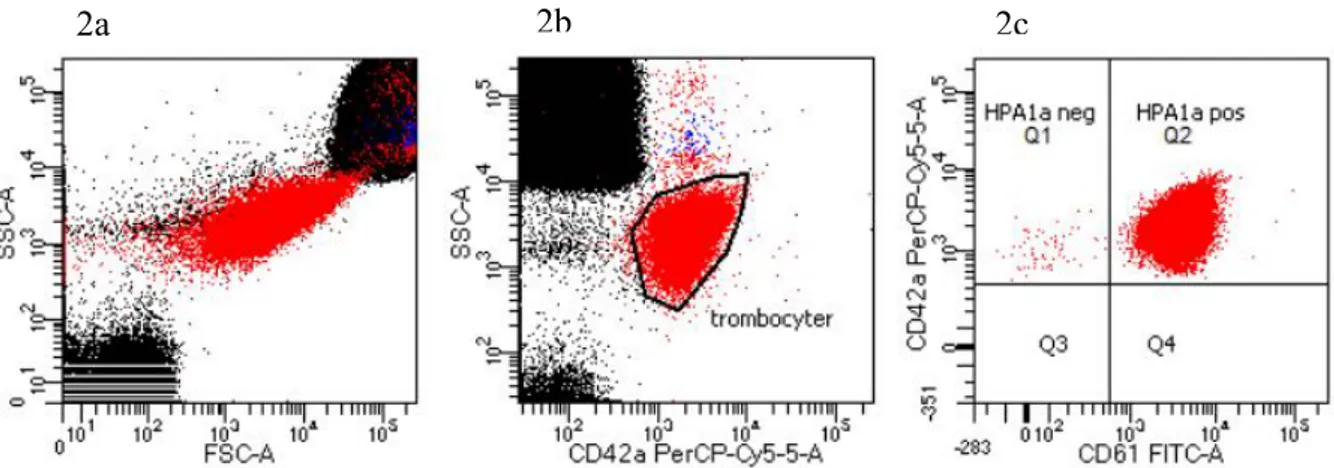 Figur 2. 2a: avgränsning av trombocyter med hjälp av SSC och FSC. 2b: avgränsning av CD42a celler  utifrån trombocytgaten