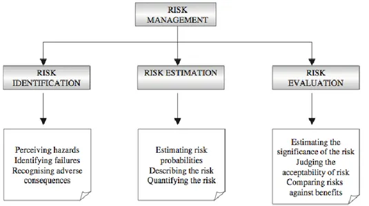 Figure 2-1 Risk Management (Adapted from White, 1995) 