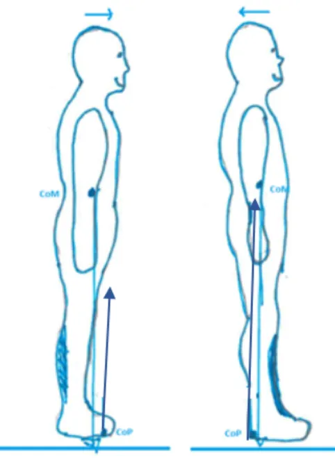 Figur  2.  CoP’s  förflyttning  i  förhållande  till  CoM  vid  stillastående.  Pilarna  ovan  huvudena  visar vilket håll kroppen lutar
