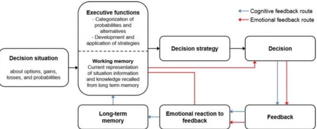 Figur 1. En beskrivning av Brand´s model of decisions under risk (Schiebener et al., 2014)