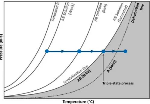 Figure 4:   Pressure vs temperature phase diagram depicting the triple-state  process [31] 