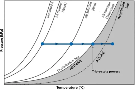 Figure 5:   Pressure vs temperature phase diagram depicting the tri- tri-ple-state process (Re-drawn based on [67])
