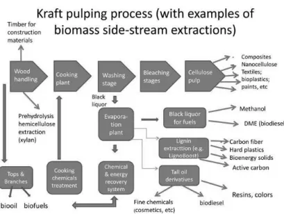 Figure 2. Kraft pulping (dominant chemical pulping technology), a technology platform for  diverging innovations and potential side-streams