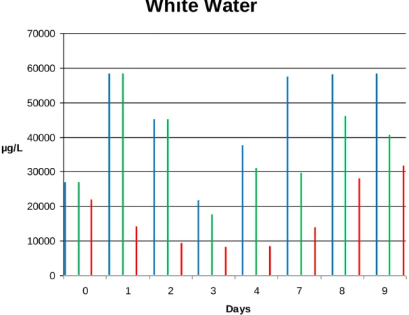 Figure 9. The DNA concentration in the white water from the three different beakers  on the collecting day
