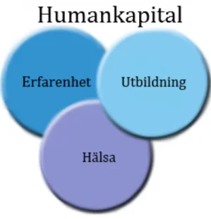 Figur	
  2:	
  Humankapitalets	
  innehåll.	
  