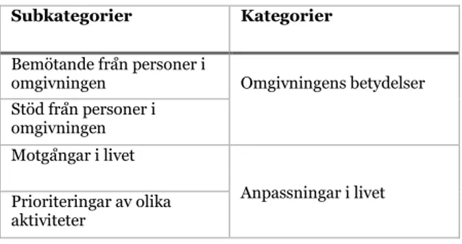 Tabell 2: Resultatmatris.  