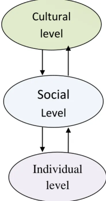 Figure 3: The interaction of the cultural, the social and the individual level 