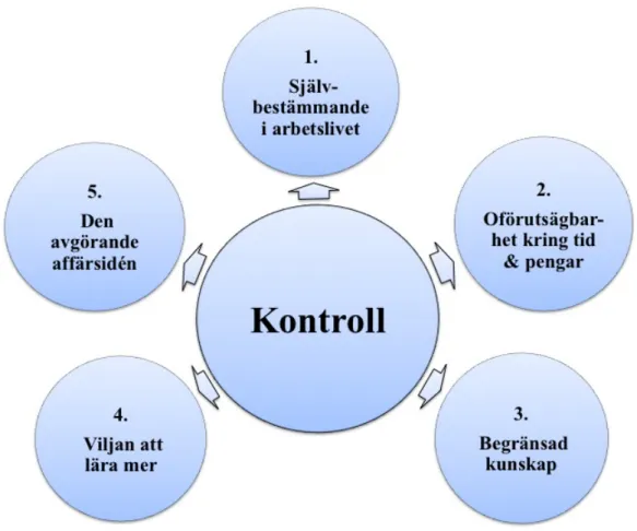 Figur 1: Kärnkategorin &amp; dess fem kategorier. 