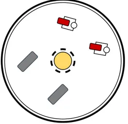 Figure 6: Two caster wheels in the front and two motor-driven non-holonomic wheels in the back is used in the following project [7]