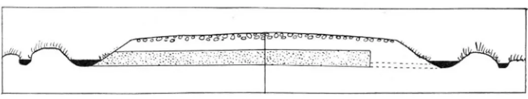 Fig.  1.  F ela k tig  konstruktion  av  sandbädd.  För  lågt  lagd  i  förhållande  till  vattenytan.
