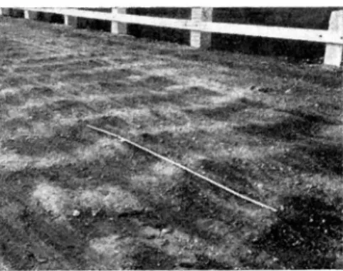 Fig.  6.  Corrugation  in  loose  gravel.