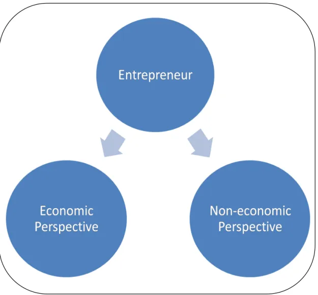 Figure 2: Entrepreneur Perspective Model 