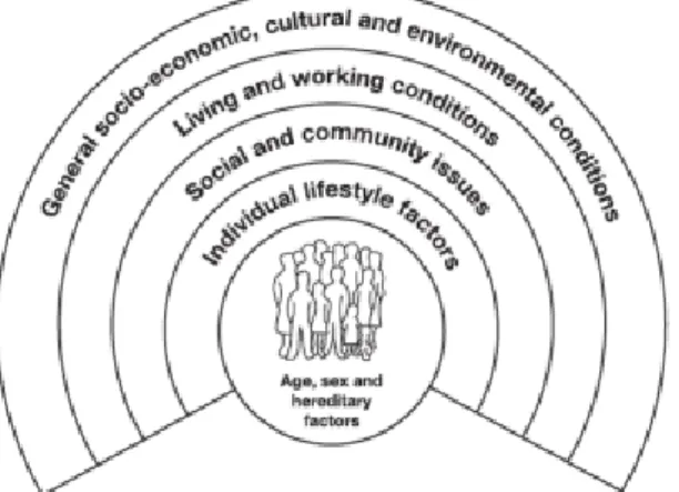 Figur 1: Hälsans bestämningsfaktorer (Dahlgren &amp; Whitehead, 1991). 