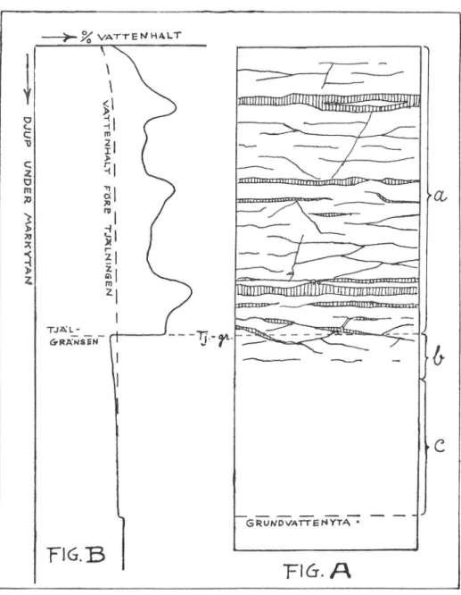 Fig.  6  Schematisk  framställning  av  lodrätt  snitt  genom  tjälskjutande  lera  under  pågående  tjälning  (Fig