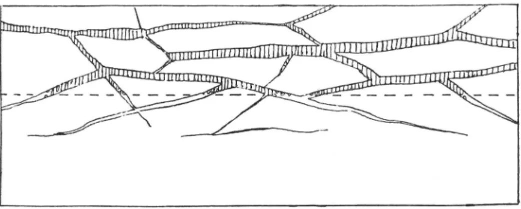 Fig.  7.  Schematiskt  lodrätt  snitt  genom  området  på  ömse  sidor  om  tjälgränsen  i  mellanlera