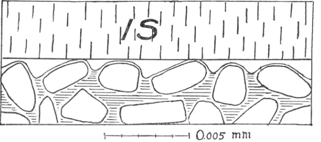 Fig.  8.  Schematisk  bild  av  kontakten  mellan  en  iskristall  i  en  isfylld  spricka nära tjälgränsen  och jordarten