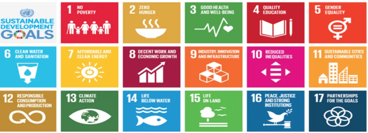 Figure 4. UN Sustainable Development Goals 