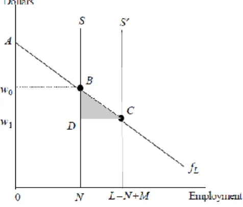 Figure 6. The immigration surplus in a model with homogeneous labor and fixed capital (Borjas, 1999) 