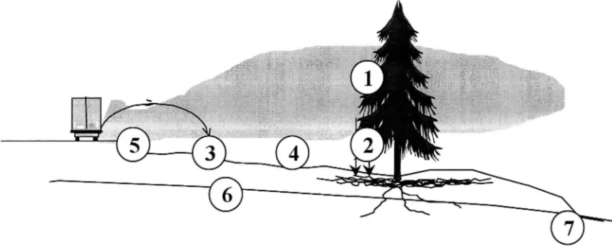 Figure 2 Pathways ofde-icing salt to vegetation: (I) deposition on the above groundparts of trees, (2) throughfall, (3) deposition on soil and ground vegetation, (4) and (5) run-o f (6) ground water transport, (7) discharge area.