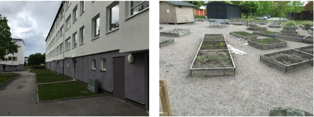 Figure 4.  After renovation with new surface coating and addition of 5 cm insulation  respectively, and the individual plantation for each family 