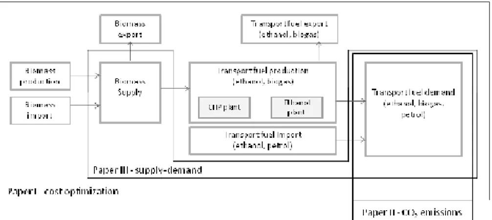 Figure 1.  Relationships between the studies presented in this thesis 
