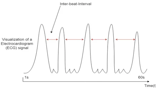 Figure 1: A visualization of a ECG signal showing IBI.